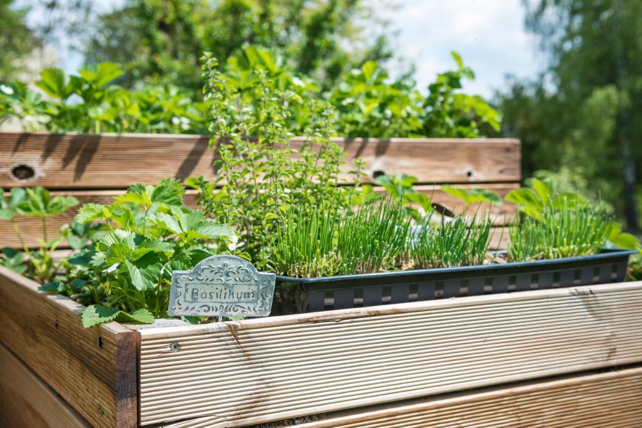 Landpension-Kleeblatt Wurchwitz Zewnętrze zdjęcie
